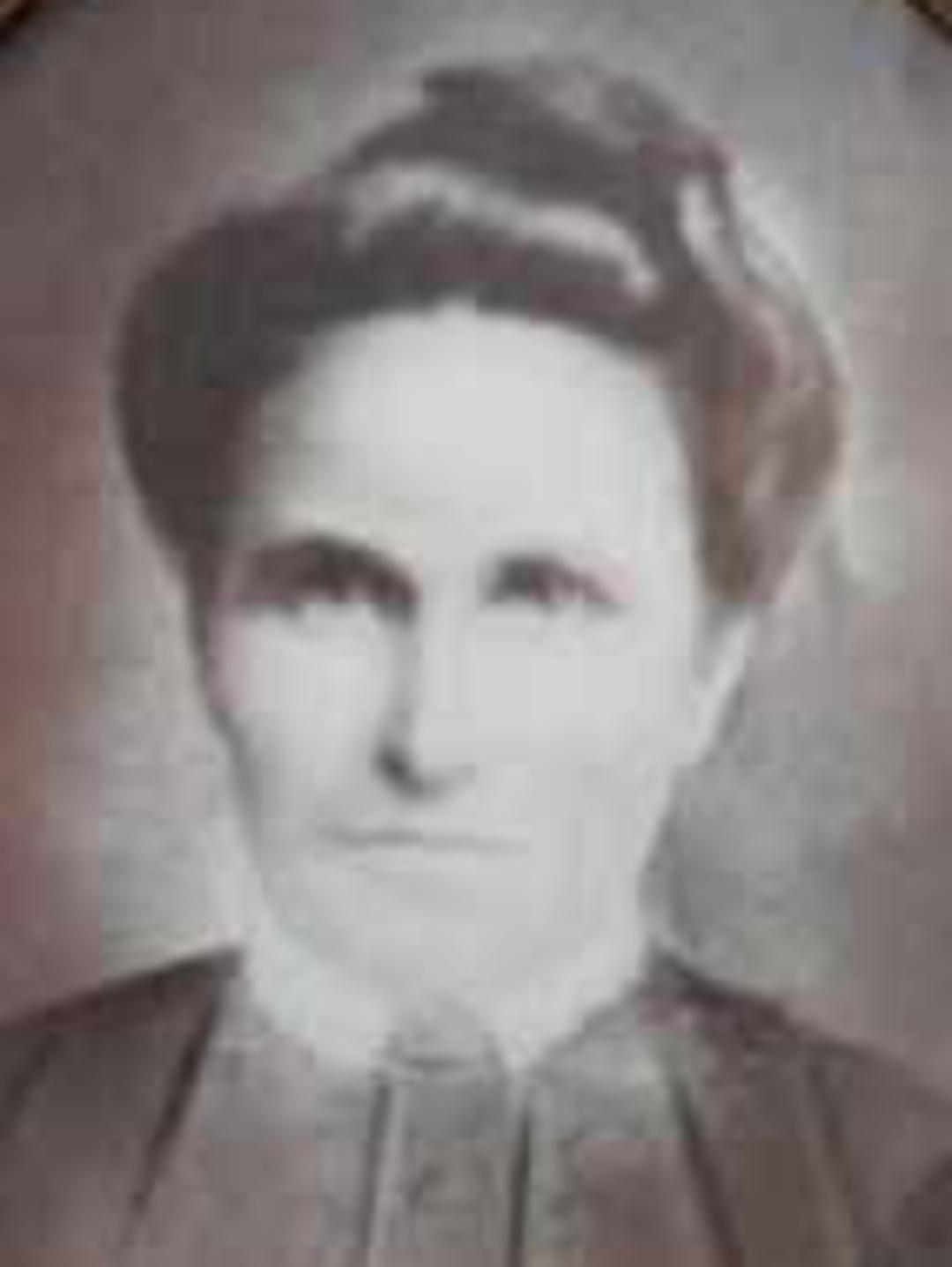 Mary Thorpe Allen (1832 - 1924) Profile